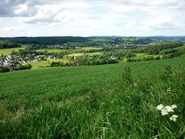 Blick Richtung Markneukirchen