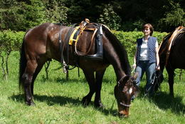 10. Equipage Bad Elster 2013