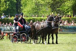 10. Equipage Bad Elster 2013