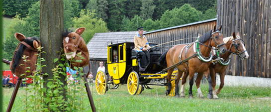 Postkutsche und Fahnenreiter zum Pferdefest 2010