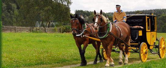 Die Erlbacher Postkutsche in Markneukirchen