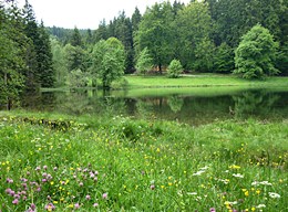 Hinterer Floßteich